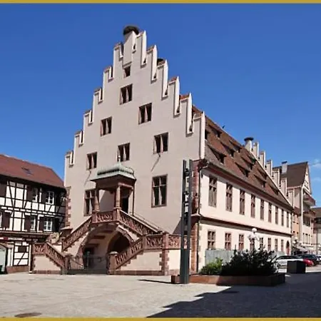 Apartment Soon - Wood Selestat