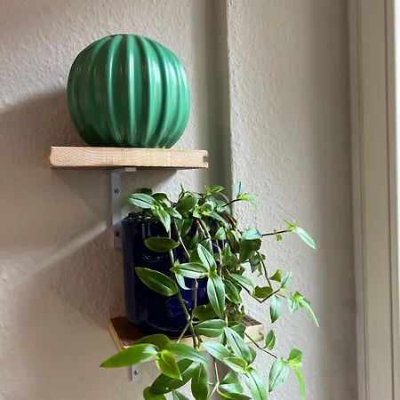 Soon - Wood Apartment