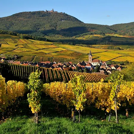 Soon - Wood * سليستا