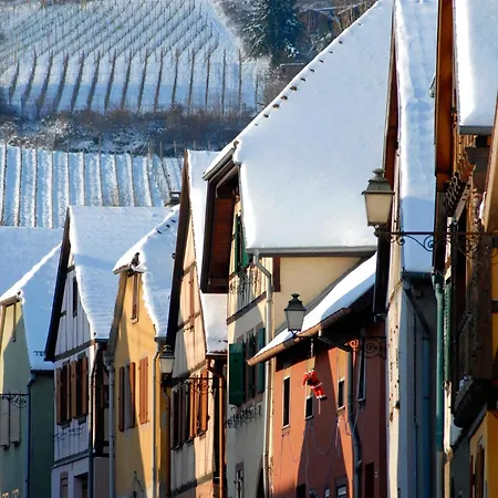 Soon - Wood Sélestat