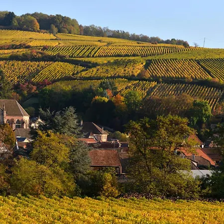 Soon - Wood Appartement