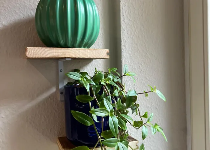 Soon - Wood Apartman