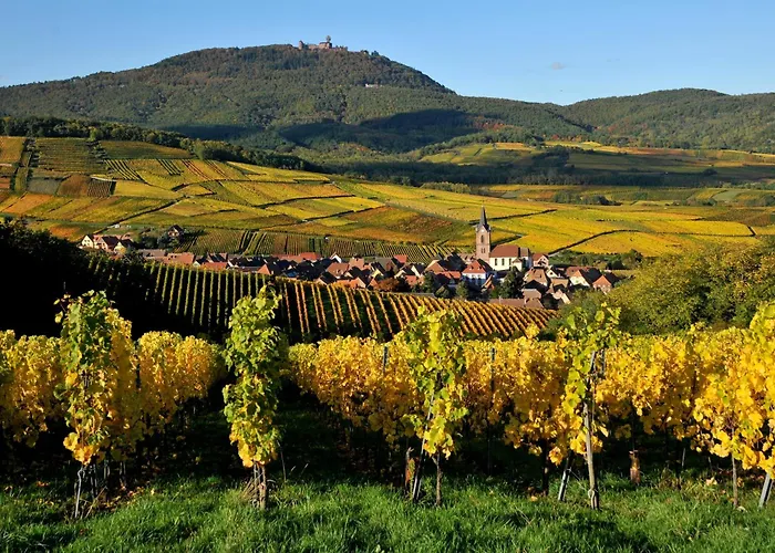 Soon - Wood * Sélestat