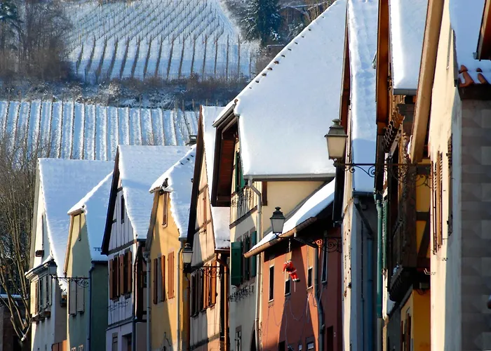 Soon - Wood Sélestat